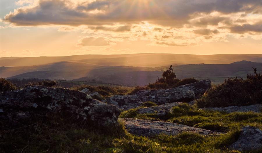 Dartmoor Sunlight