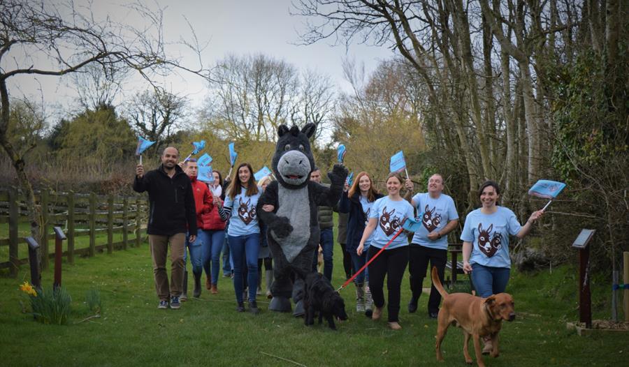 People enjoying Dawdle for Donkeys