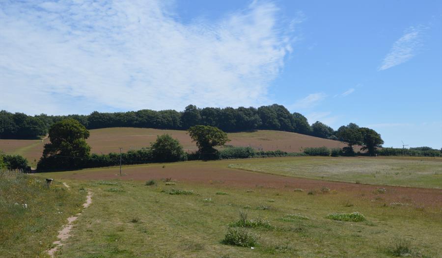 Dawlish Countryside Park