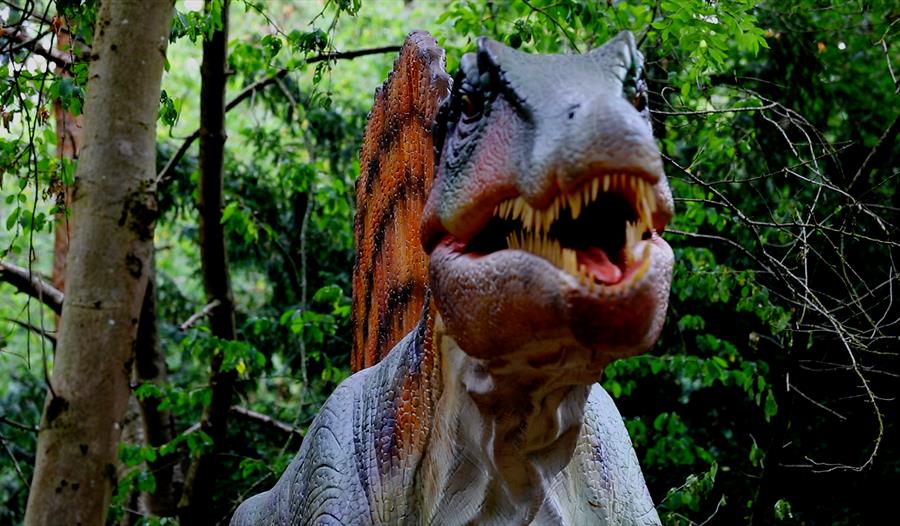 A scaley dinosaur with rows of sharp teeth and a colourful spine opens its jaws towards the viewer