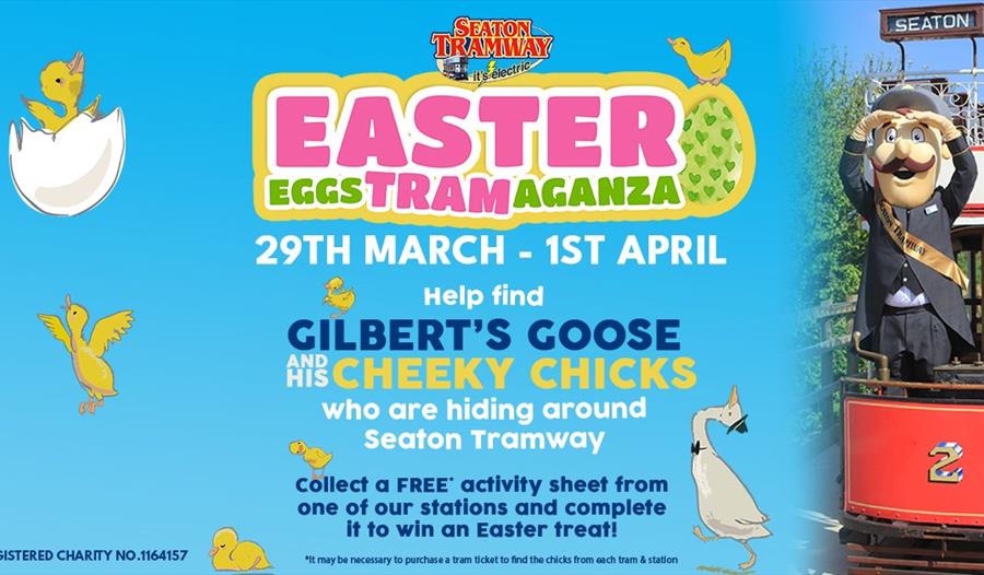 Gilbert, a goose and chicks. Easter Egg hunt at Seaton Tramway.