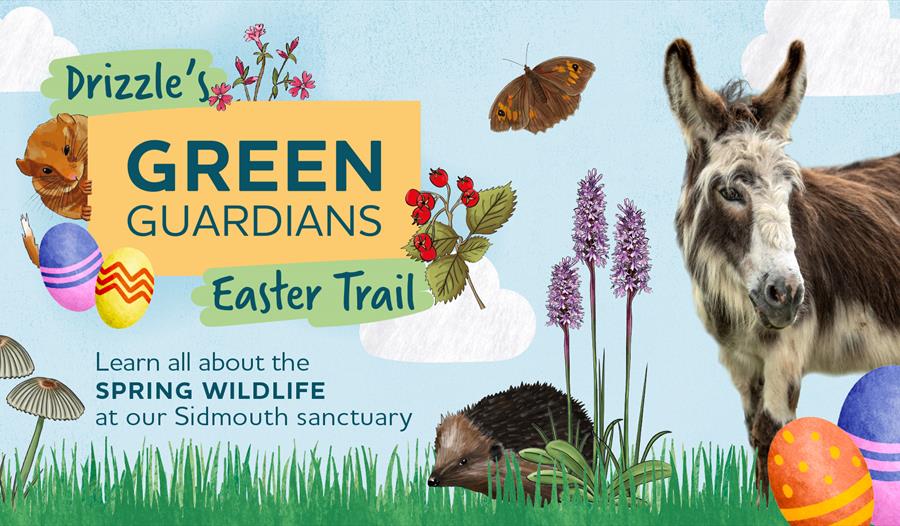 illustrated wildlife with coloured easter eggs set on green hills