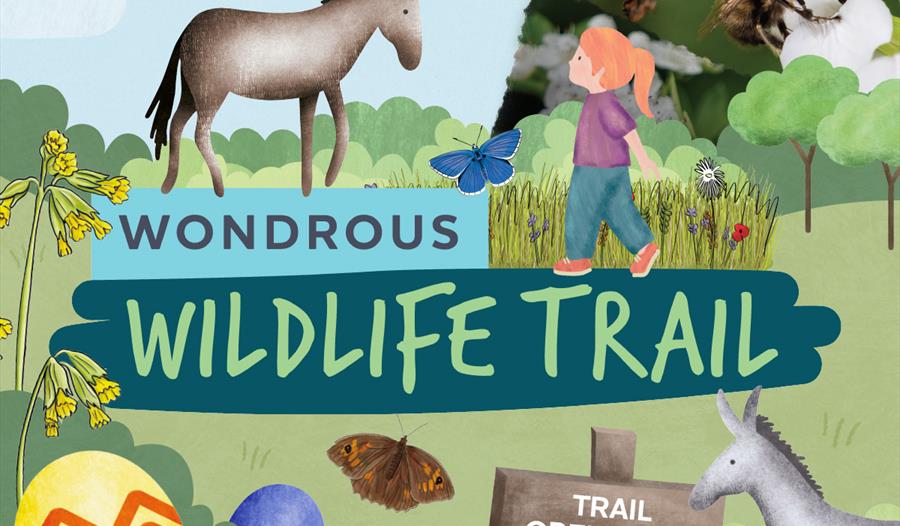 illustrated donkeys and Easter Eggs with photos of a field mouse and a bee.