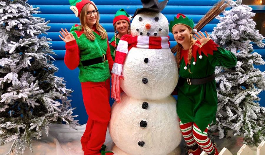 Christmas at Woodlands Elves