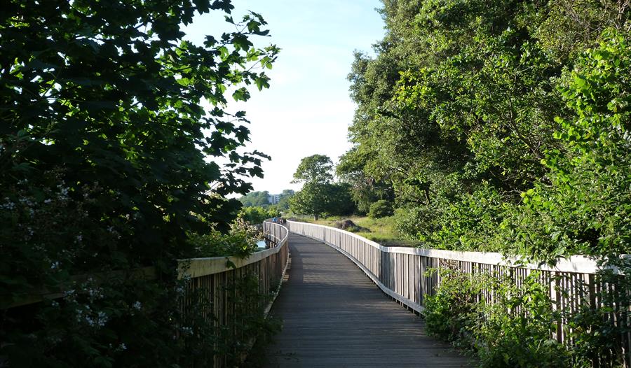 Exe Estuary Trail Map The Exe Estuary Trail - Visit South Devon