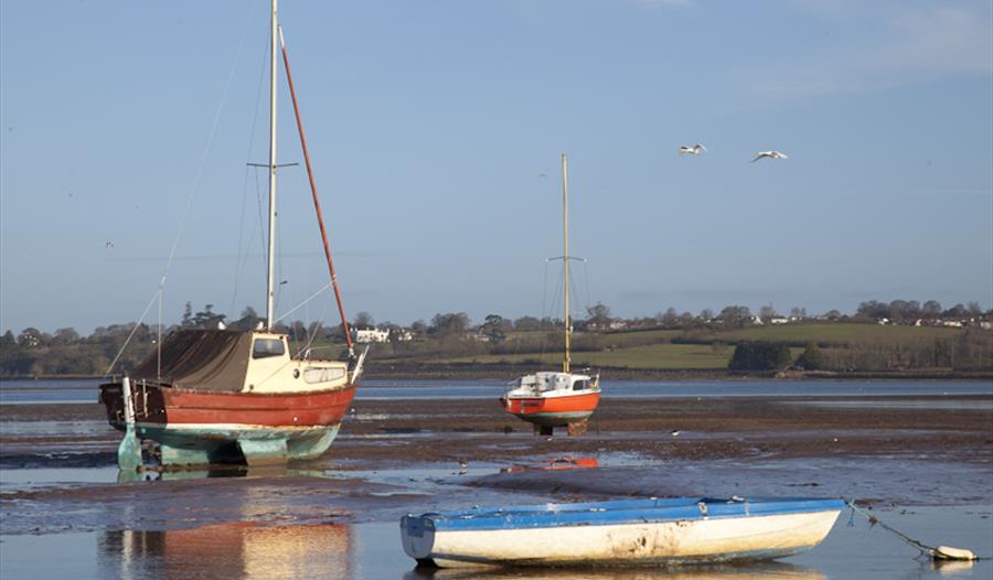 The Exe Estuary