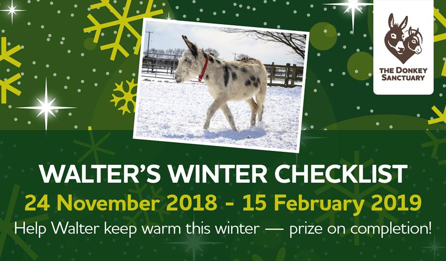 Help Walter keep warm this winter