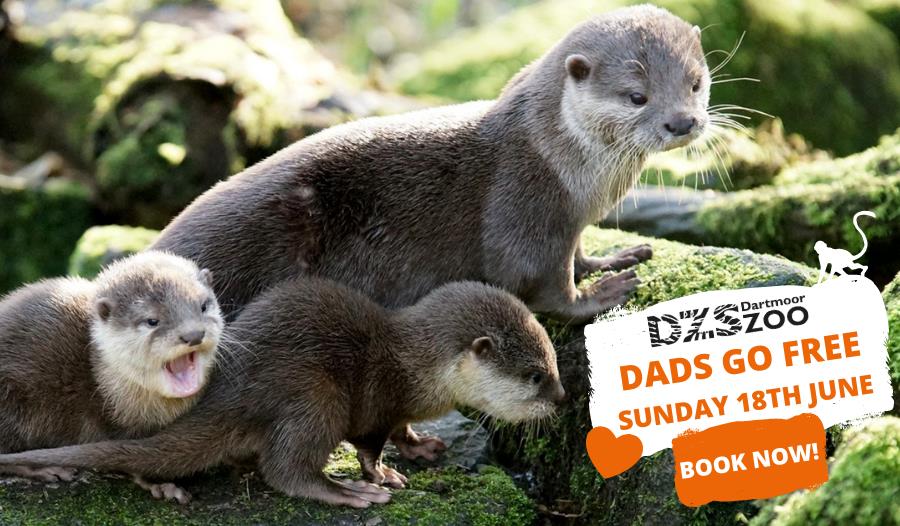 Father's Day Dartmoor Zoo