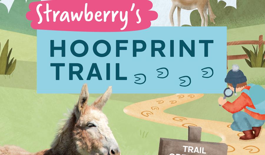 illustrated pathway with a donkey