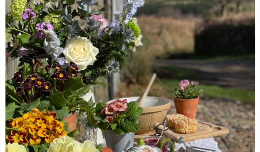 Manaton Plant Sale
