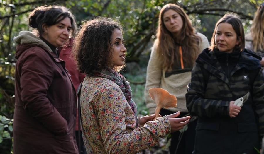 Foraging and Wild Fermentation	