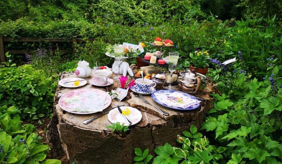Glazebrook English Country Garden Afternoon Tea