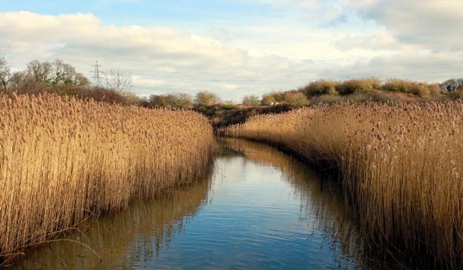 Hackney Marshes