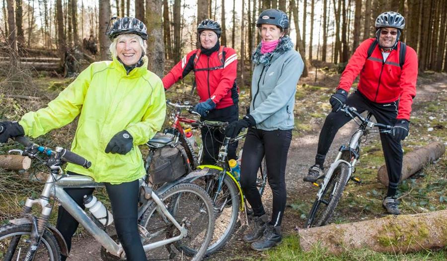 Haldon Forest Park Exeter Visit South Devon