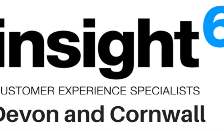 insight6 Devon & Cornwall logo