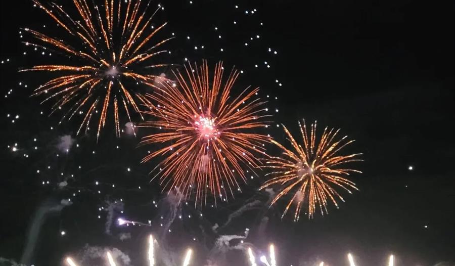 Charity fireworks display at Westpoint Exeter
