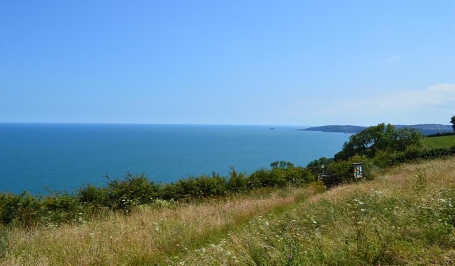 Labrador Bay Visit South Devon