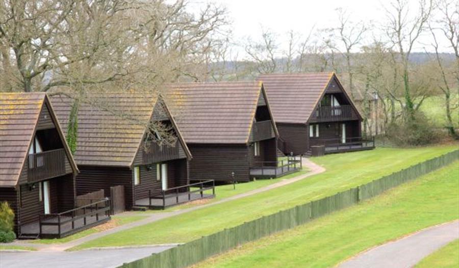 Woodbury Park Lodges