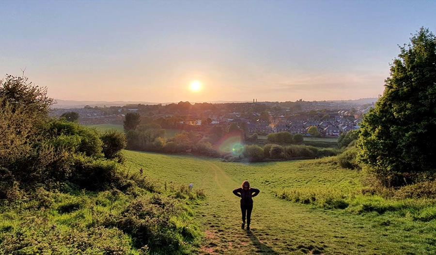 Ludwell Valley Park