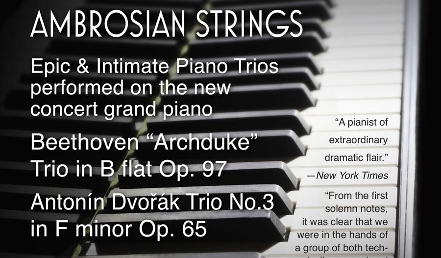 Daniele Rinaldo & Ambrosian Strings live classical music event in St Marychurch Torquay