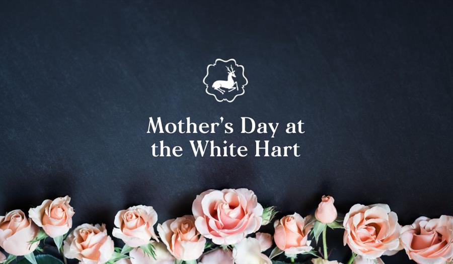 Mother's Day_Dartington Estate