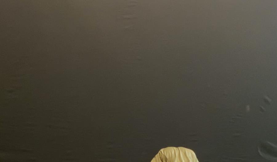 A person lays face down on a black floor before a black wall