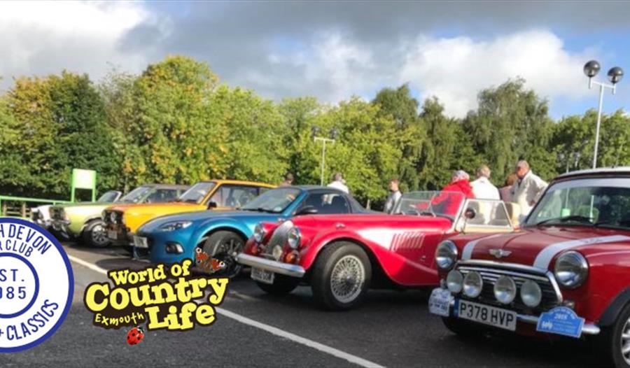 North Devon Sports & Classic Car Club at World of Country Life Exmouth Devon