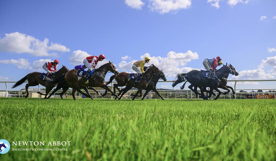 Horseracing at Newton Abbot Racecourse