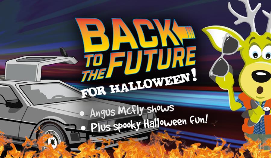 October Half Term at World of Country Life Exmouth Devon