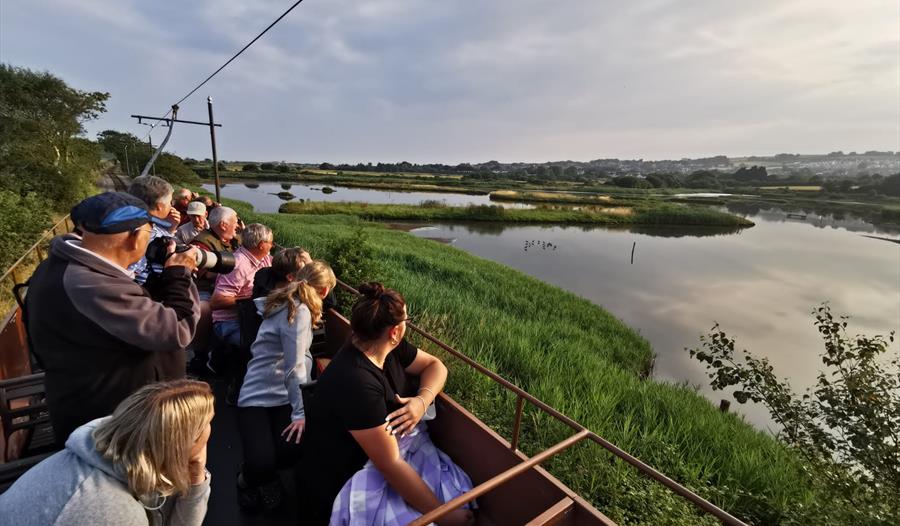 Bird watching Tram