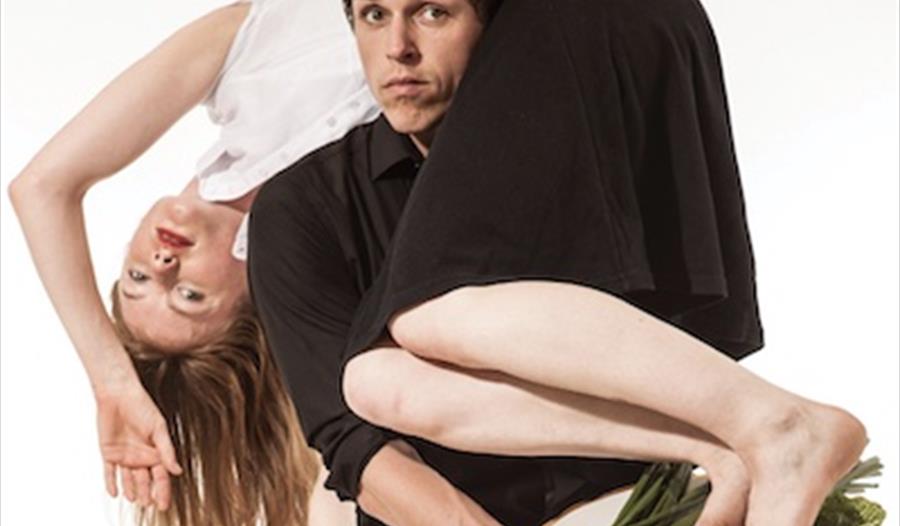 A dancer carrying another dancer in their arms horizontally