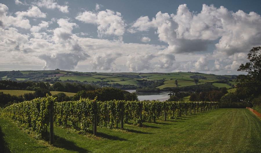 Sandridge Barton The home of Sharpham Wine Visit South Devon