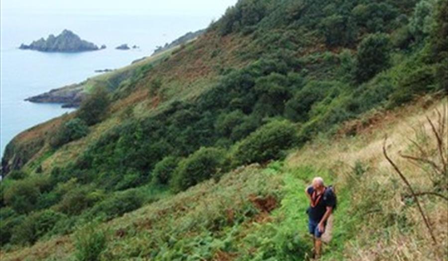 Near Scabbacombe head. Photographer S Curtis