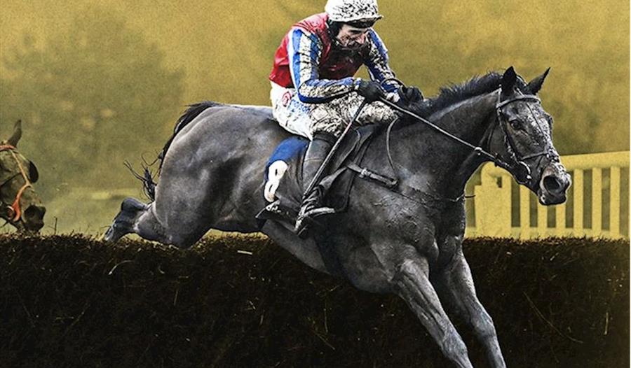 Exeter Racecourse - Thistle Ask and Harry Skelton winning the BetMGM Haldon Gold Cup in 2025