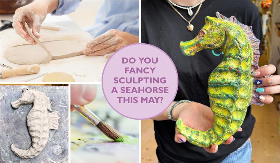 Seahorse Sculpting Class - China Blue