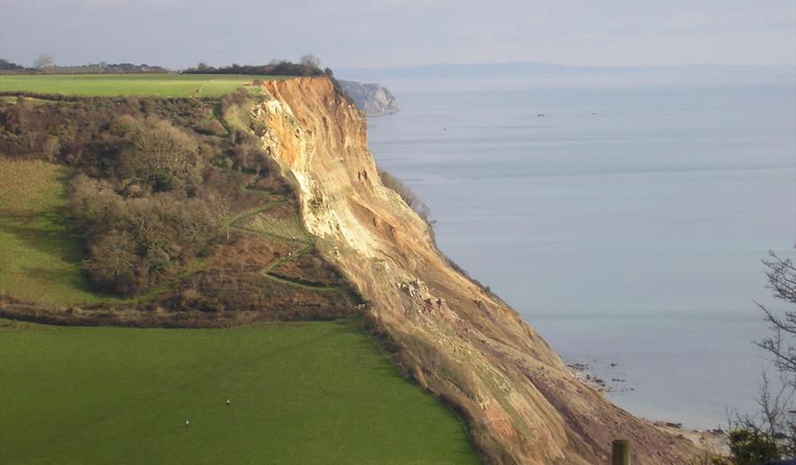 Photo supplied by Sarah Firth, Devon County