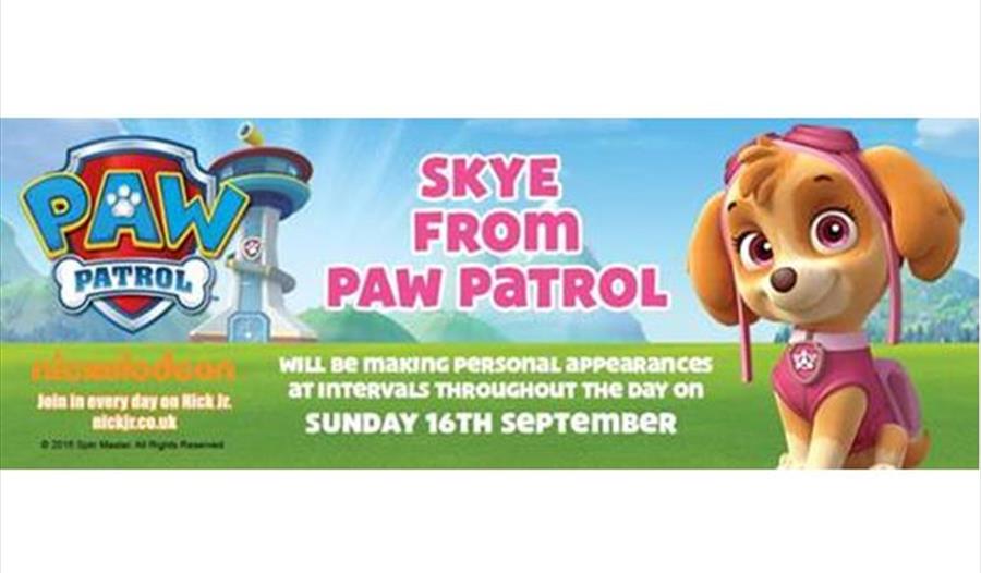Skye from Paw Patrol at Pennywell Farm