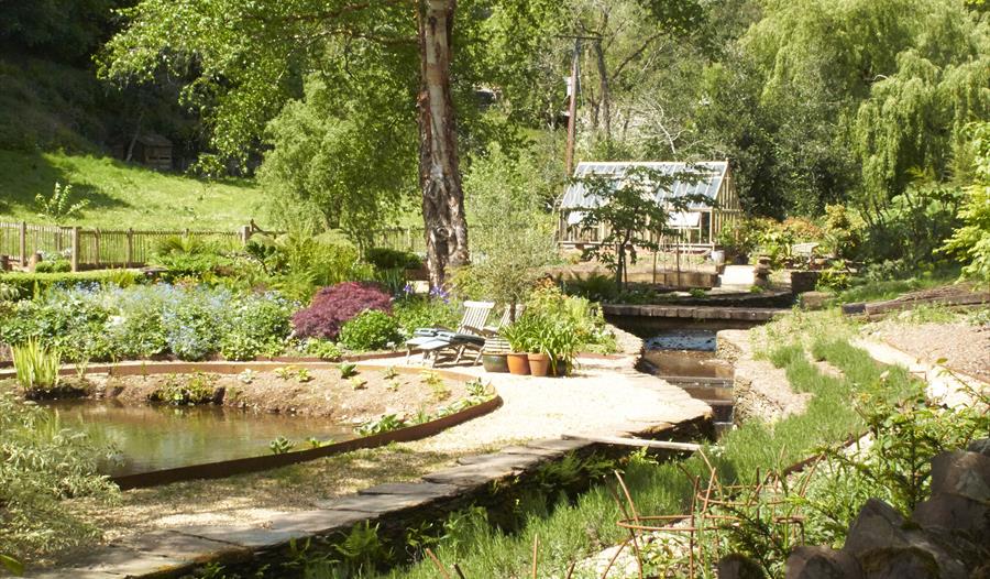 A beautiful valley garden in Slapton