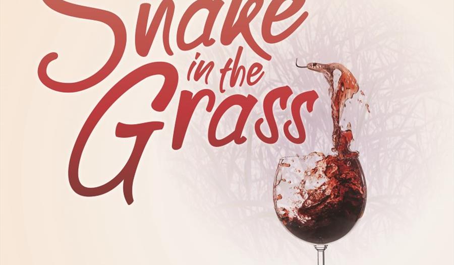 Bijou theatre - Alan Ayckbourn Snake in the Grass