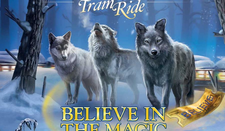 THE POLAR EXPRESS™ Train Ride Wolf image