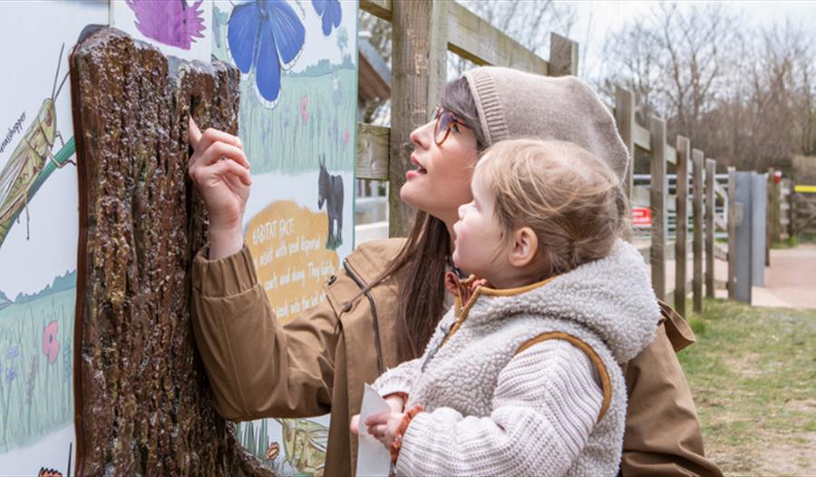 Family enjoy Nature Trail at The Donkey Sanctuary