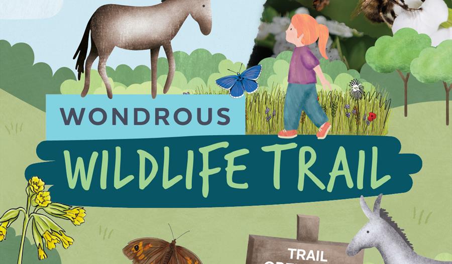 illustrated donkeys with photos of a field mouse and a bee.