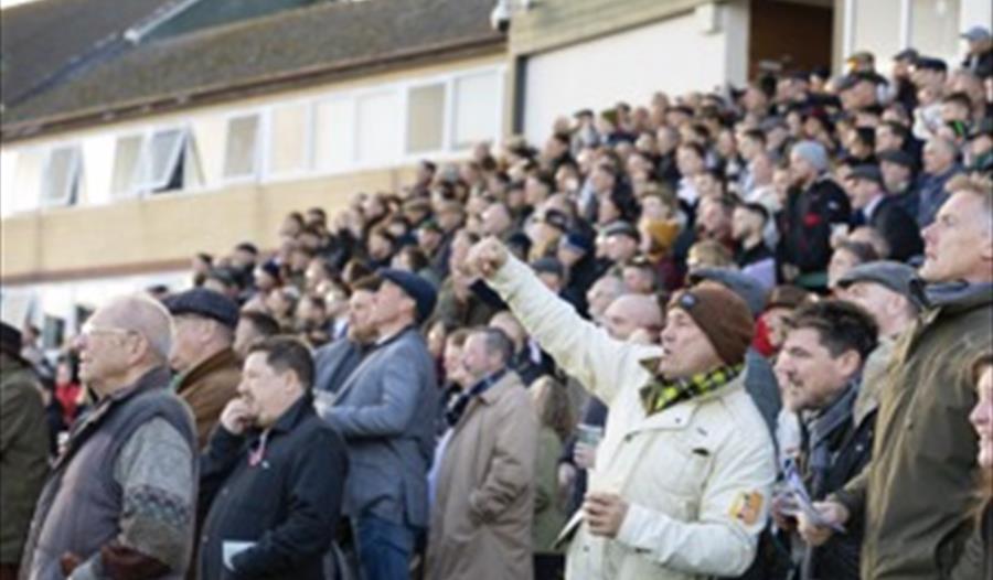 Crowd Cheering at Exeter Racecourse's Pasty & Pint Raceday