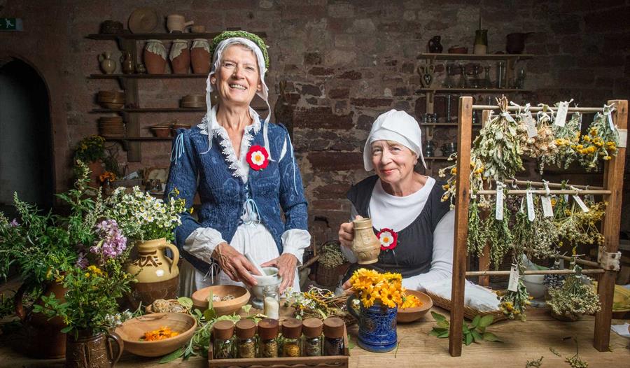 Tudor Herbe Wives