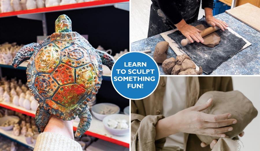 Turtle Sculpting Class