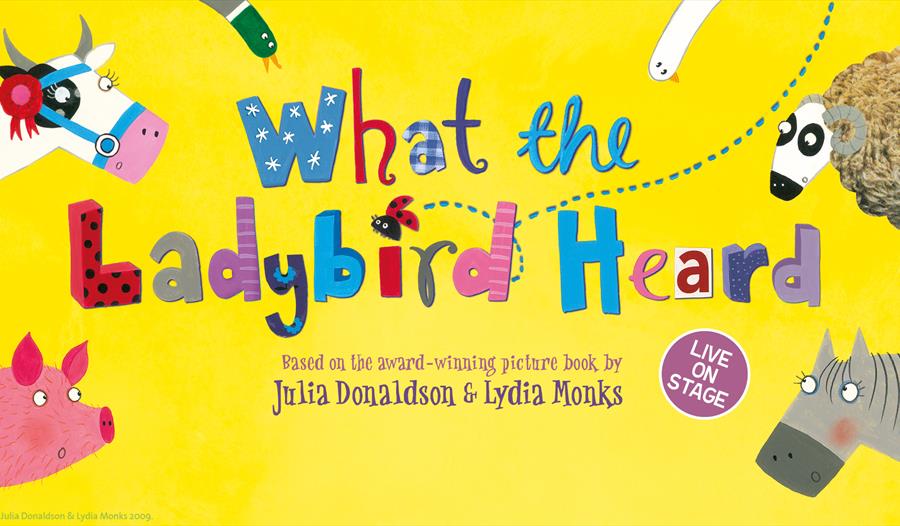 What the Ladybird Heard