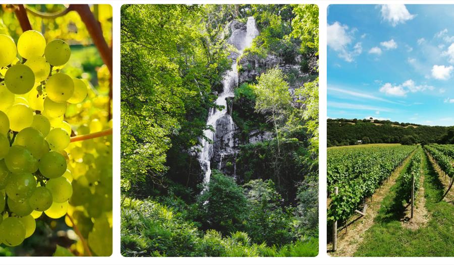 Dartmoor waterfalls + Wine