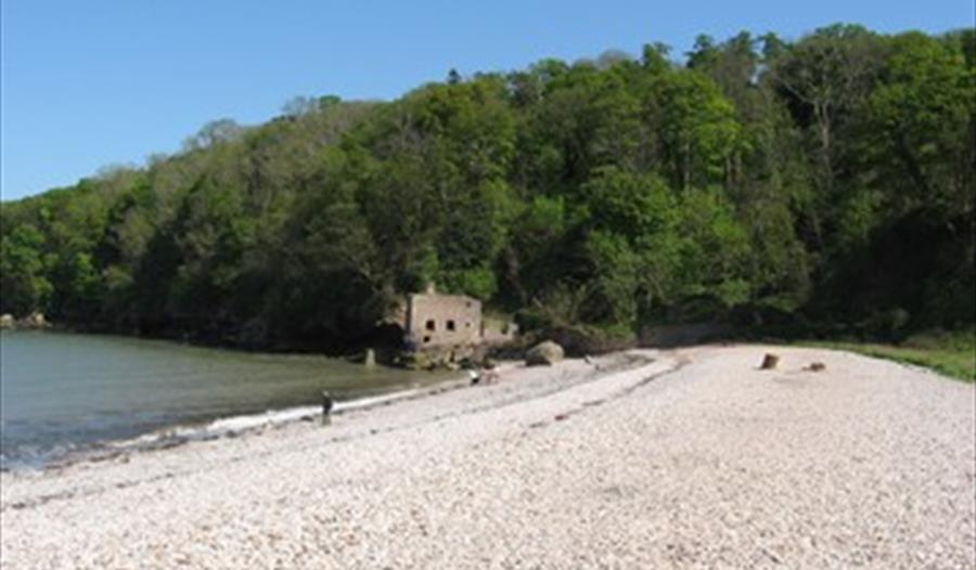 Elberry Cove. Photographer Jennifer Rowlandson, Tiverton