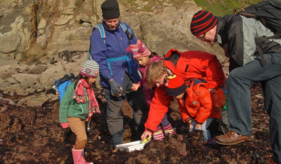 Photo of a family rockpooling