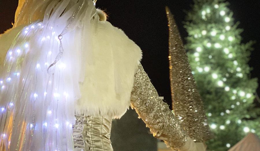 Totnes Christmas Market